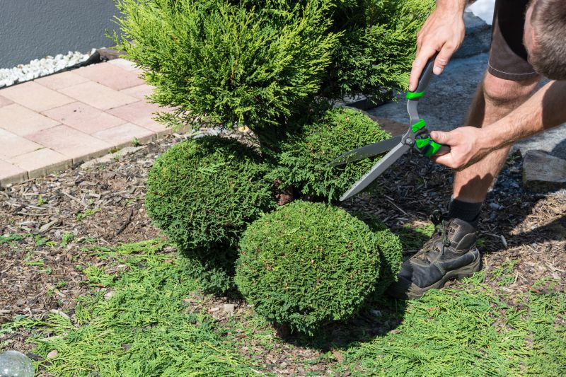 Increase Your Shrub Maintenance Business with an AI Driven, Targeted Website