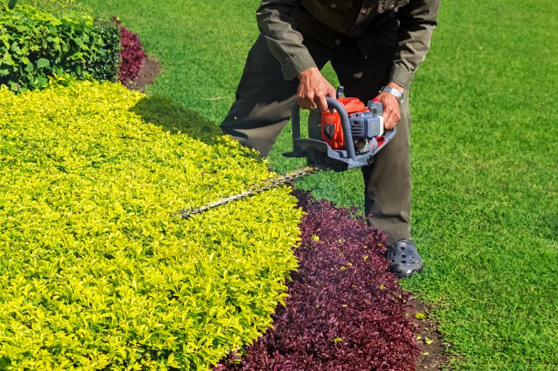 Shrub Maintenance